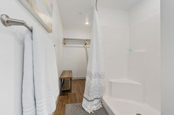 Walk in shower1